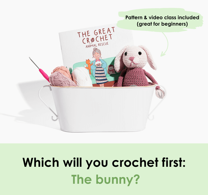 The Great Crochet Animal Rescue Illustrated Book & Bunny Crochet Pattern