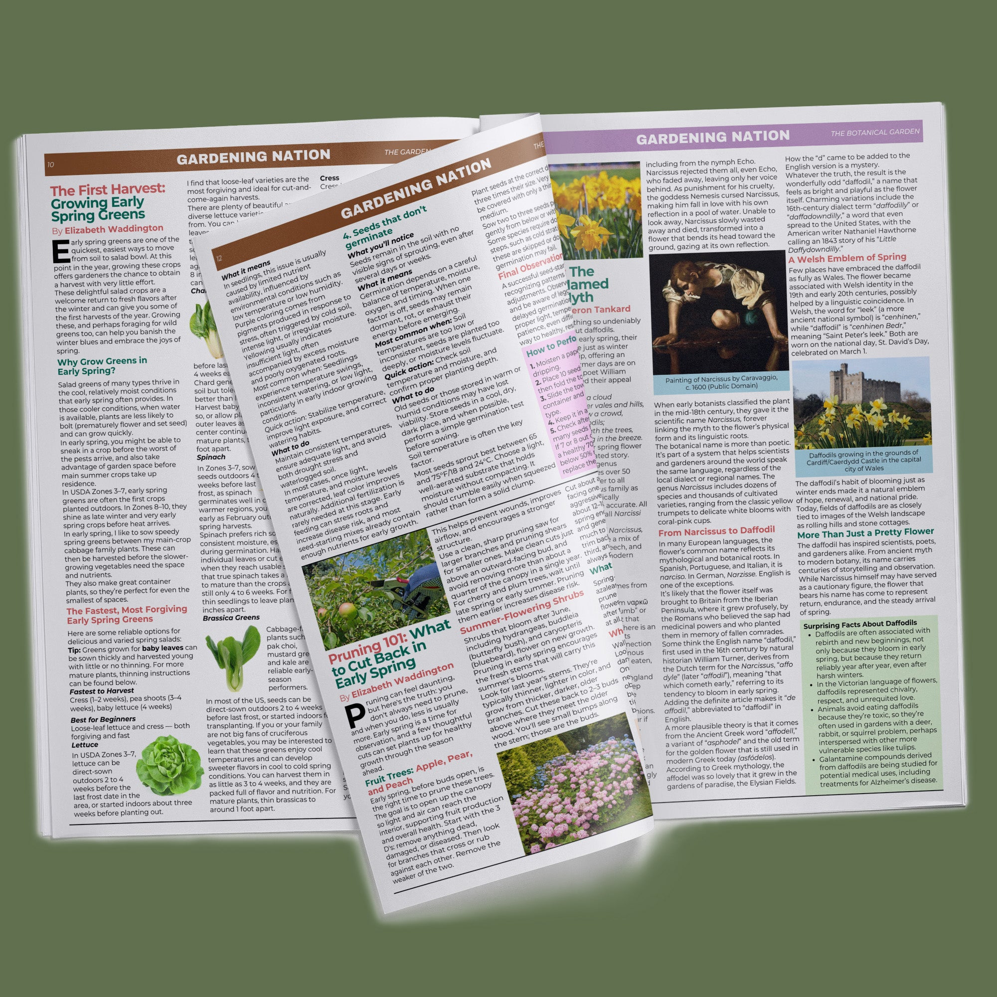 Gardening Nation • 1-Issue-a-Month Subscription
