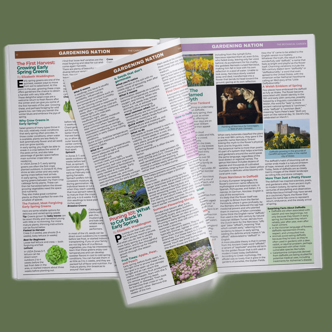 Annual Subscription • Gardening Nation
