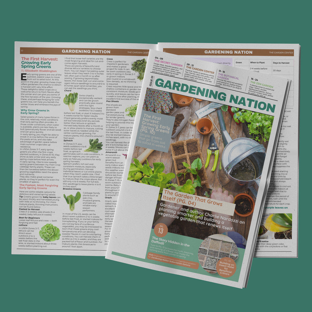 Gardening Nation • Issue 1