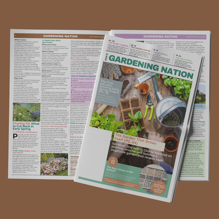Gardening Nation • Issue 1