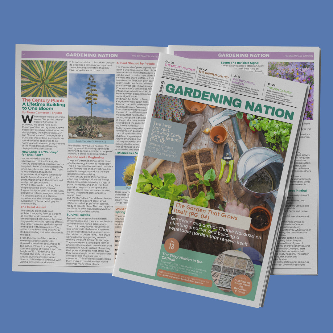 Gardening Nation • Issue 1