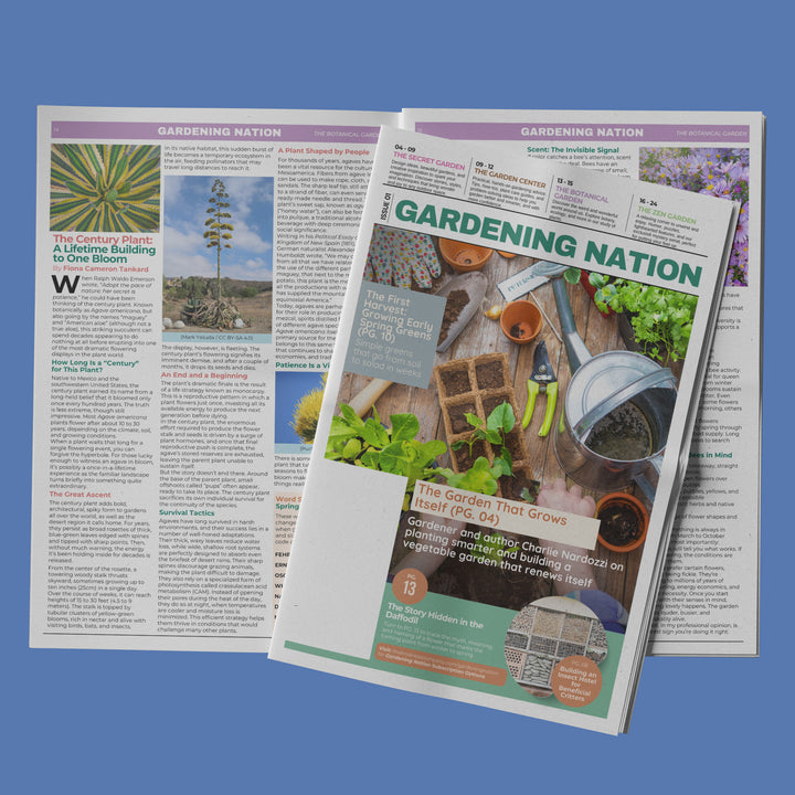 Gardening Nation • Issue 1