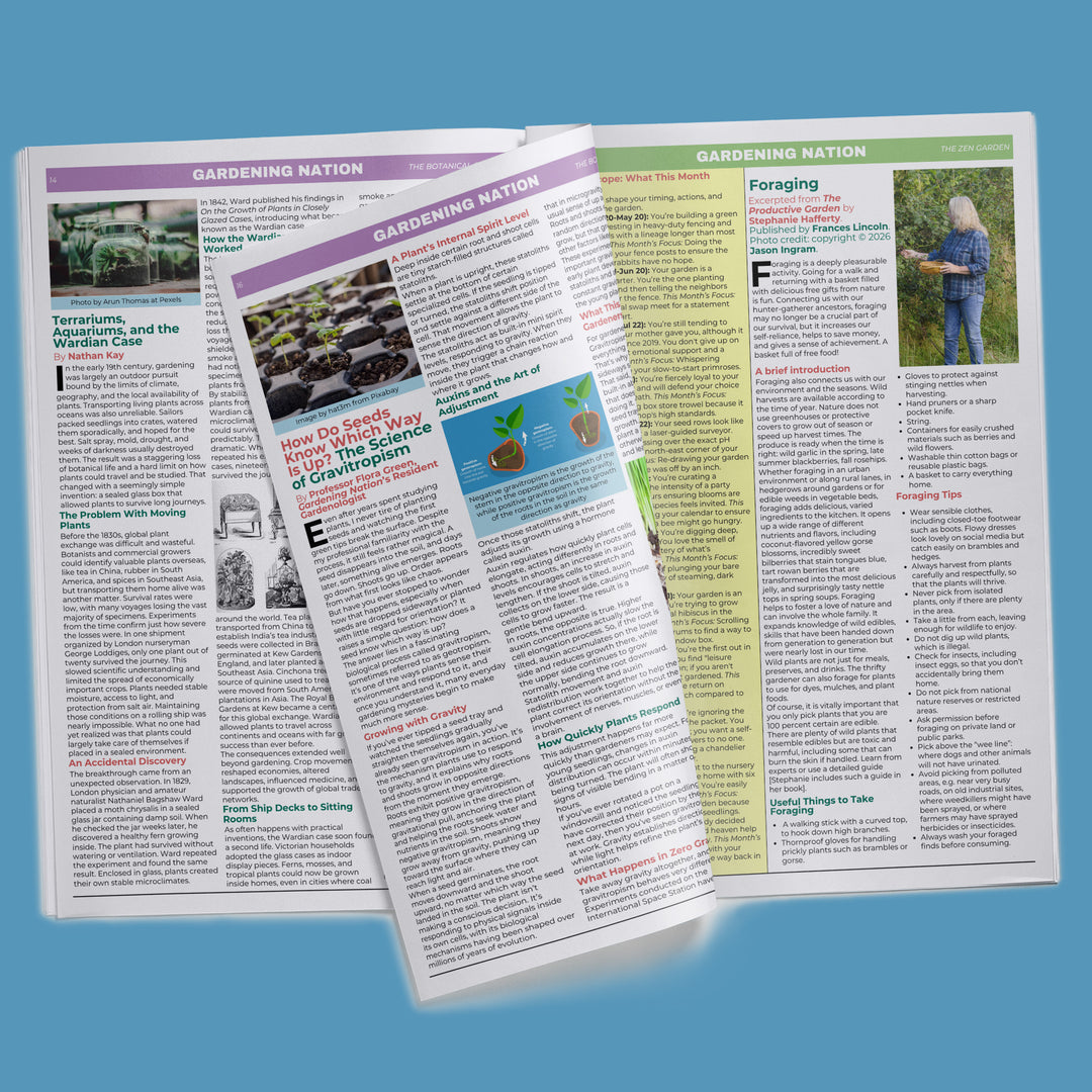 Gardening Nation • Issue 2