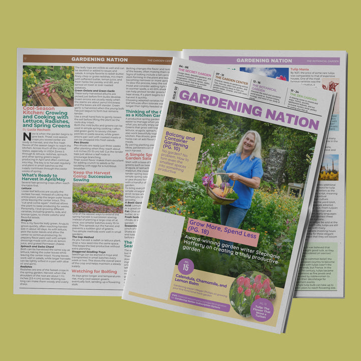Gardening Nation • Issue 2
