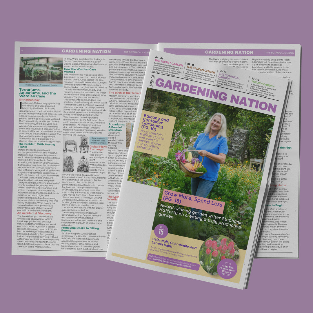 Gardening Nation • Issue 2