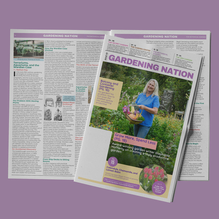 Gardening Nation • Issue 2