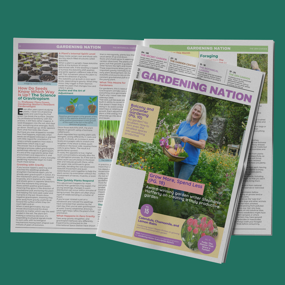 Gardening Nation • Issue 2