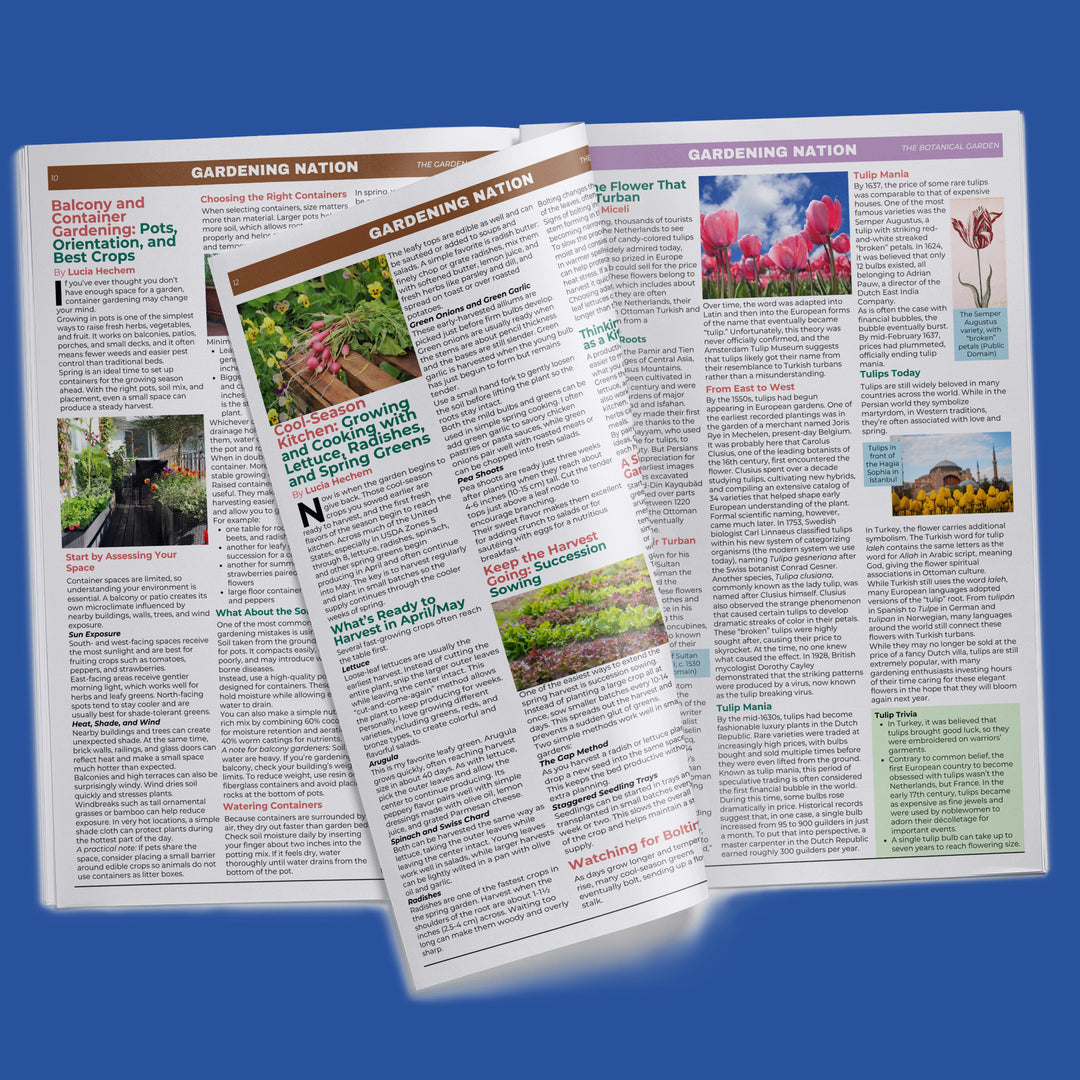 Gardening Nation • Issue 2