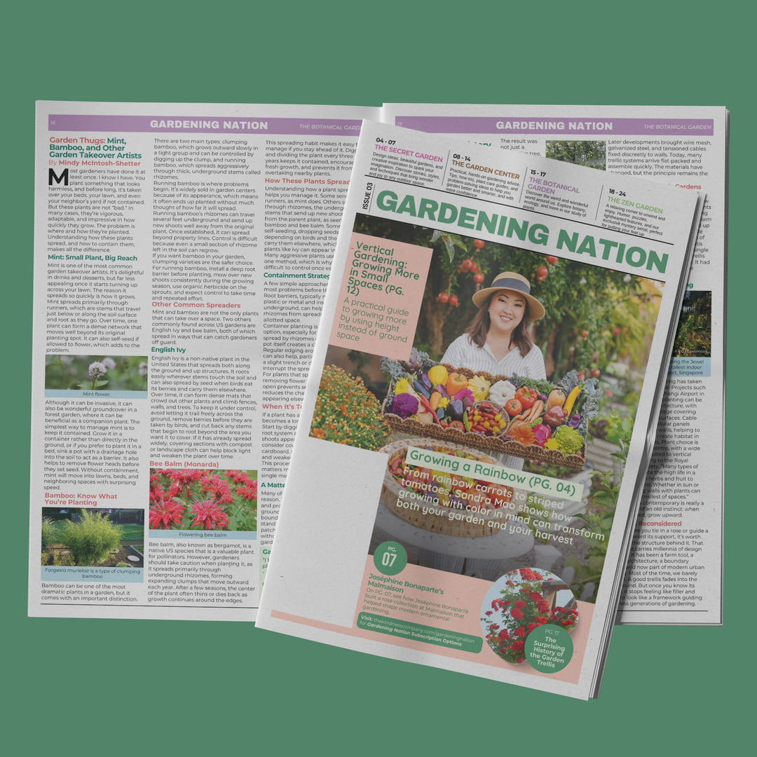 Gardening Nation • Issue 3