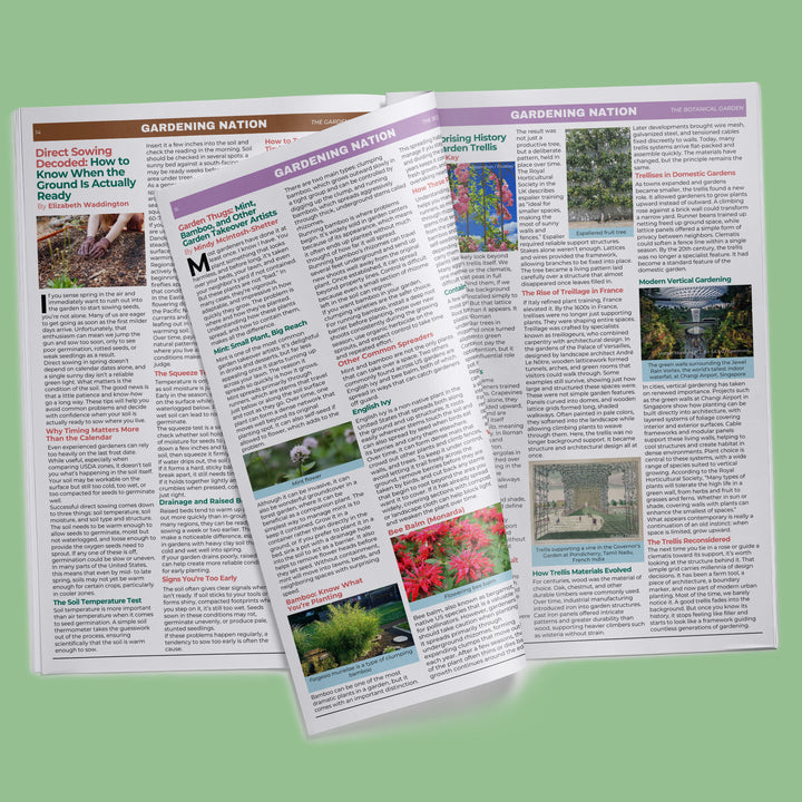 Gardening Nation • Issue 3