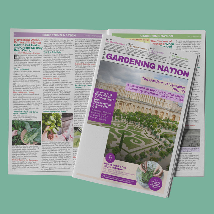 Gardening Nation • Issue 4
