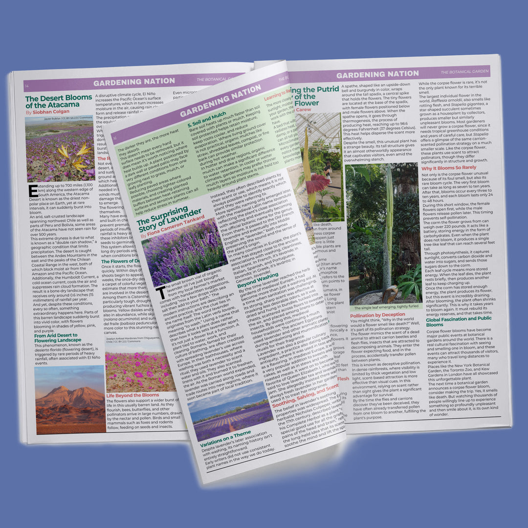 Gardening Nation • Issue 5