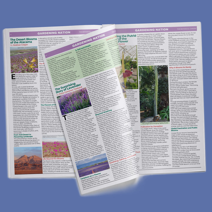 Gardening Nation • Issue 5