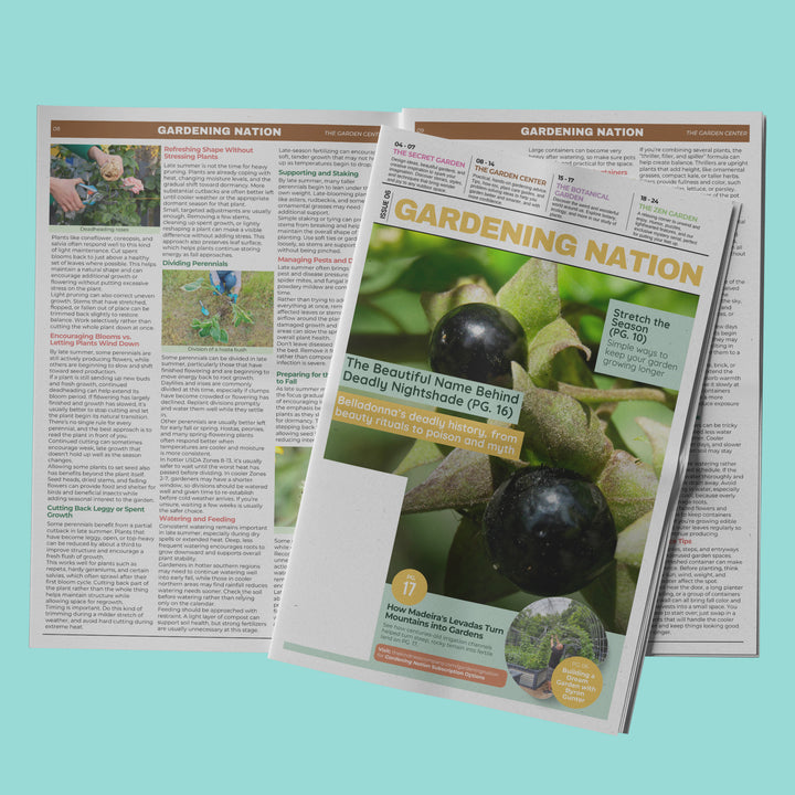 Gardening Nation • Issue 6