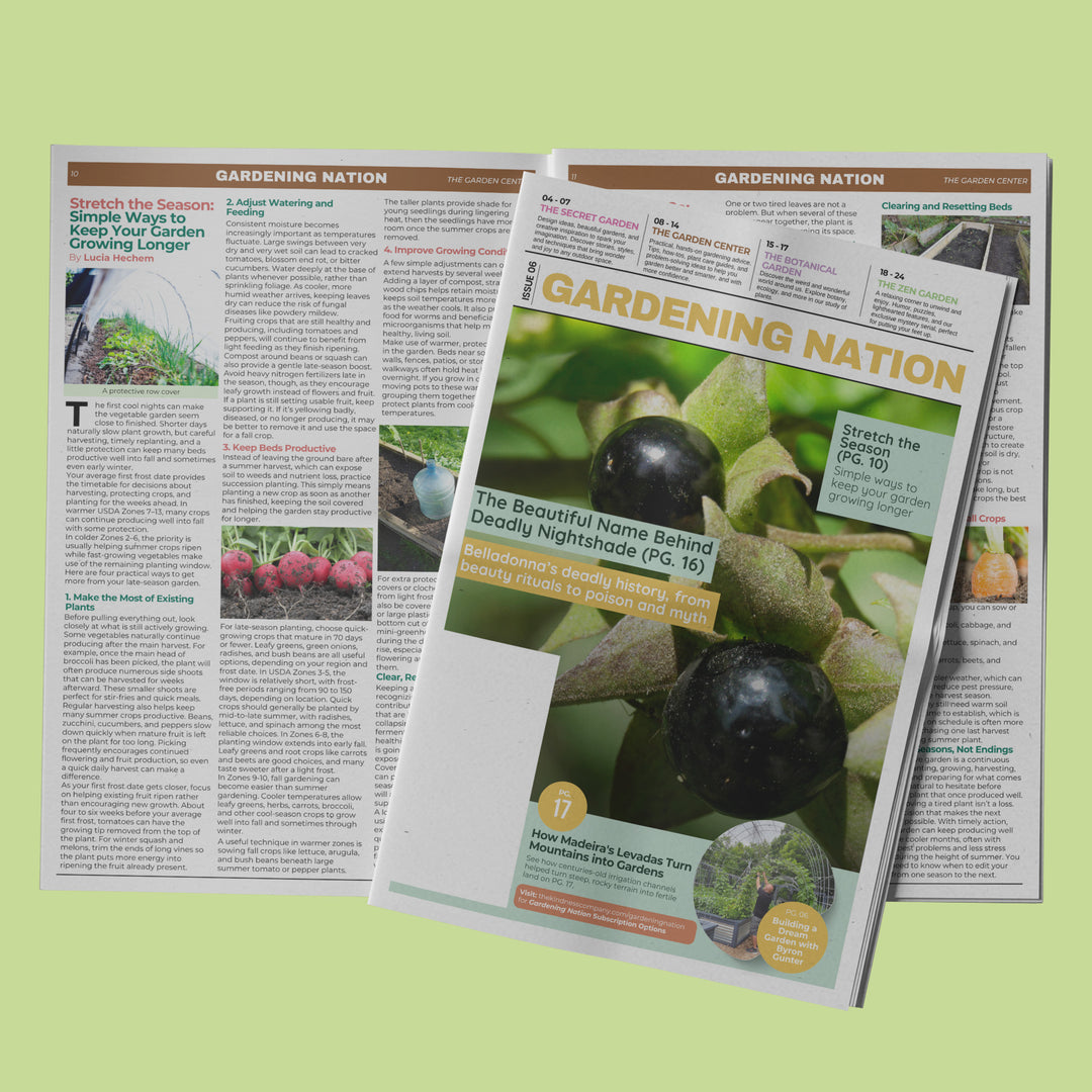 Gardening Nation • Issue 6