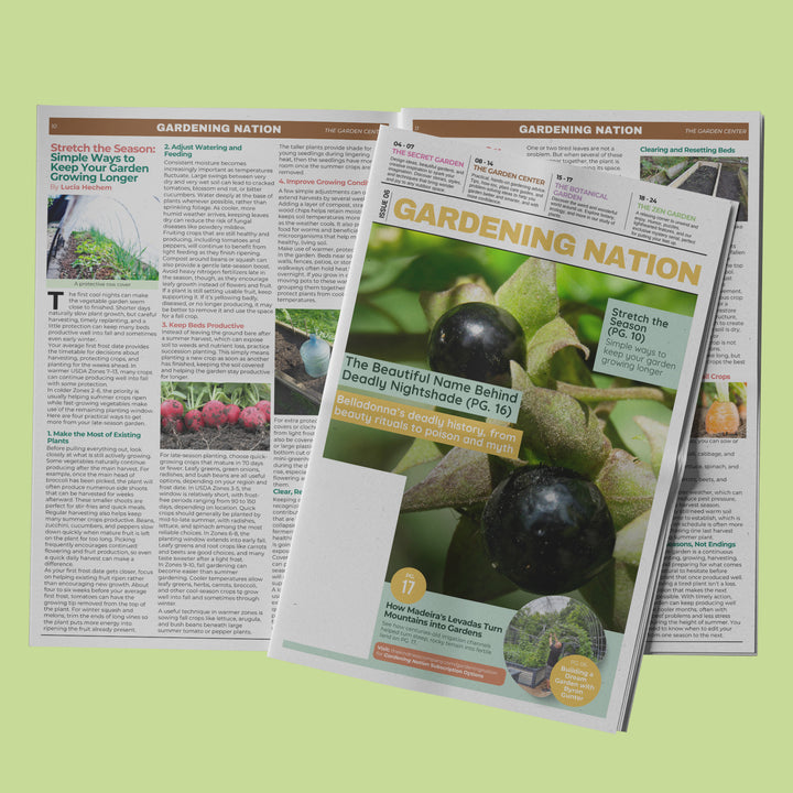 Gardening Nation • Issue 6