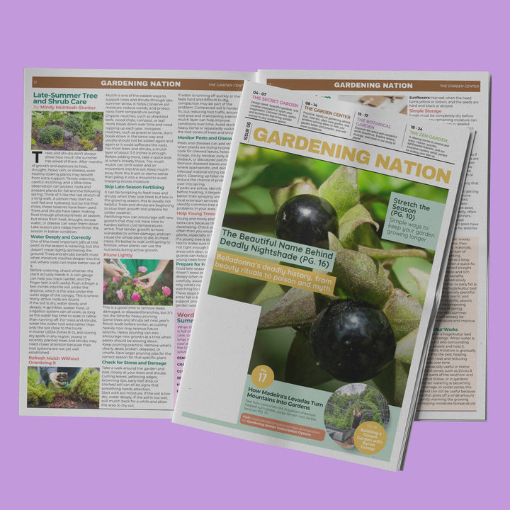 Gardening Nation • Issue 6