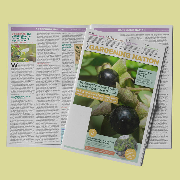 Gardening Nation • Issue 6
