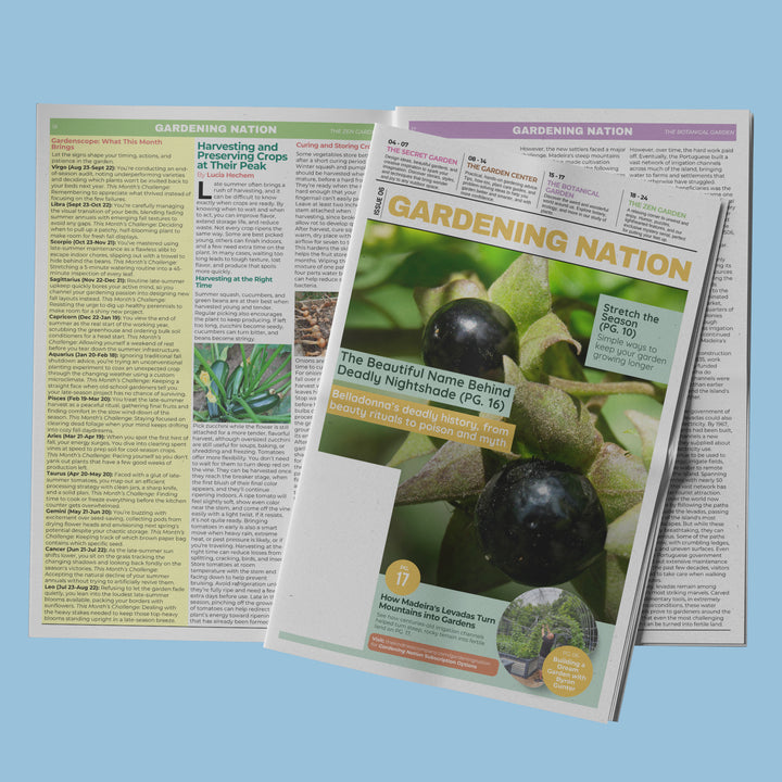 Gardening Nation • Issue 6