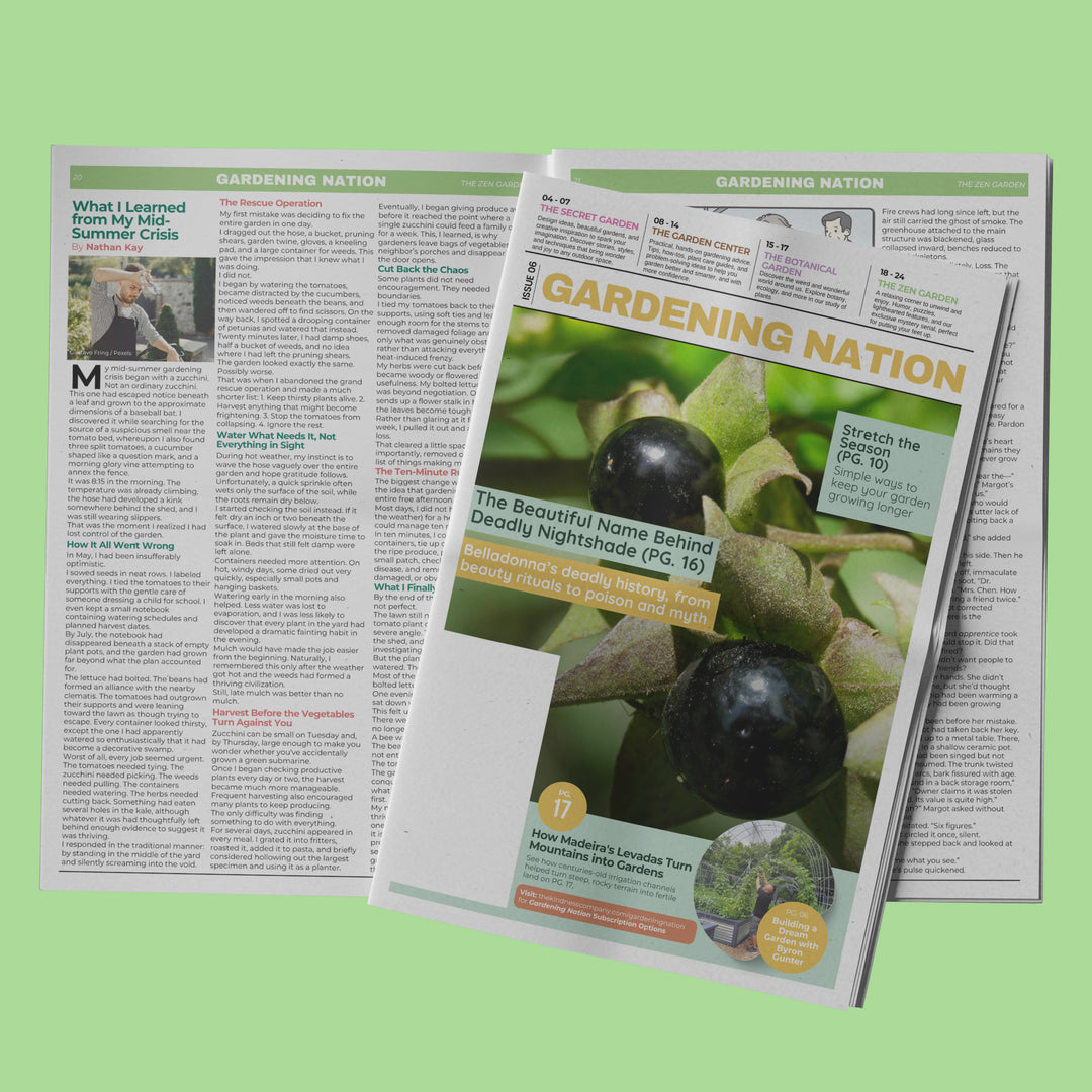 Gardening Nation • Issue 6