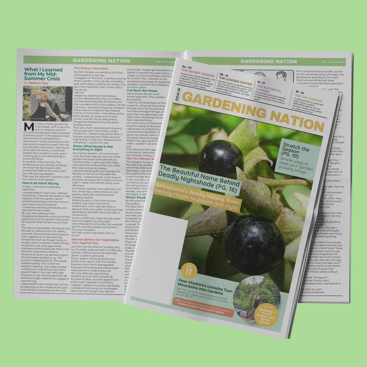 Gardening Nation • Issue 6