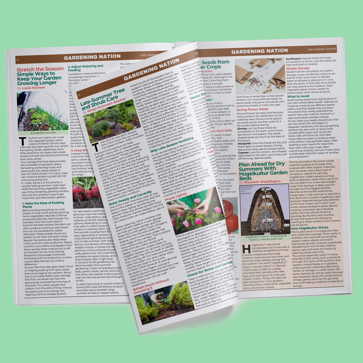 Gardening Nation • Issue 6