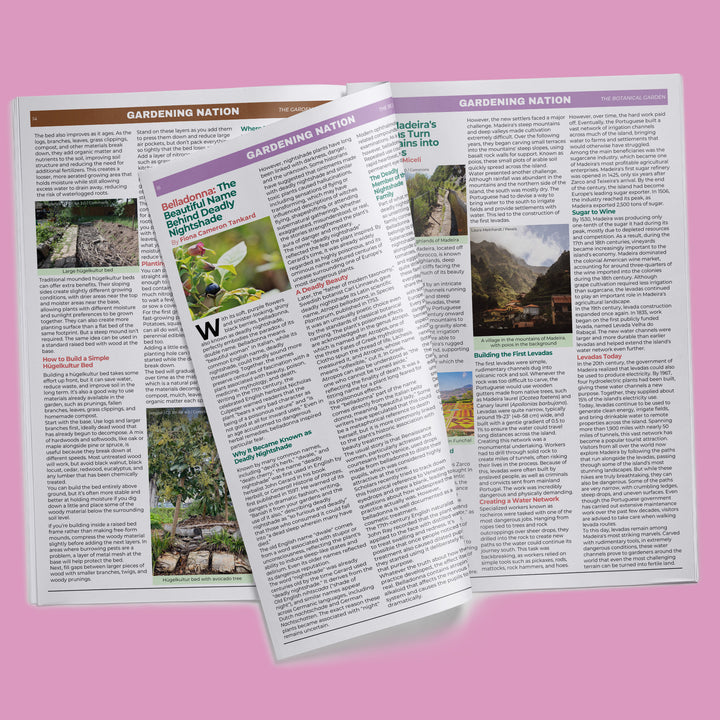 Gardening Nation • Issue 6