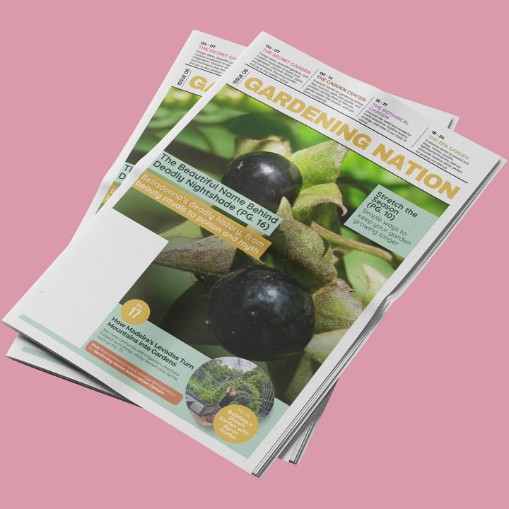 Gardening Nation • Issue 6