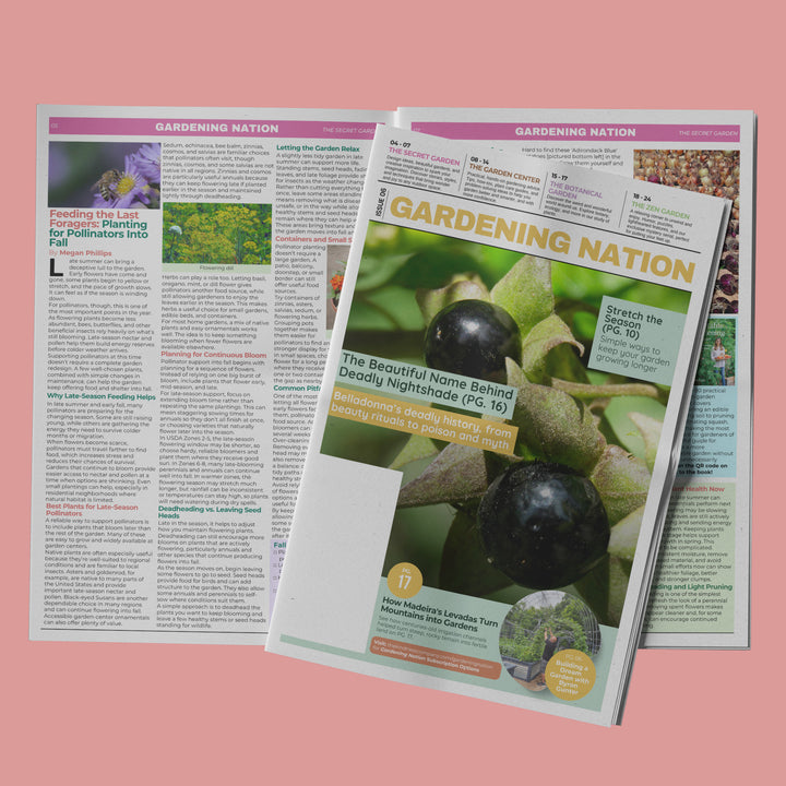 Gardening Nation • Issue 6