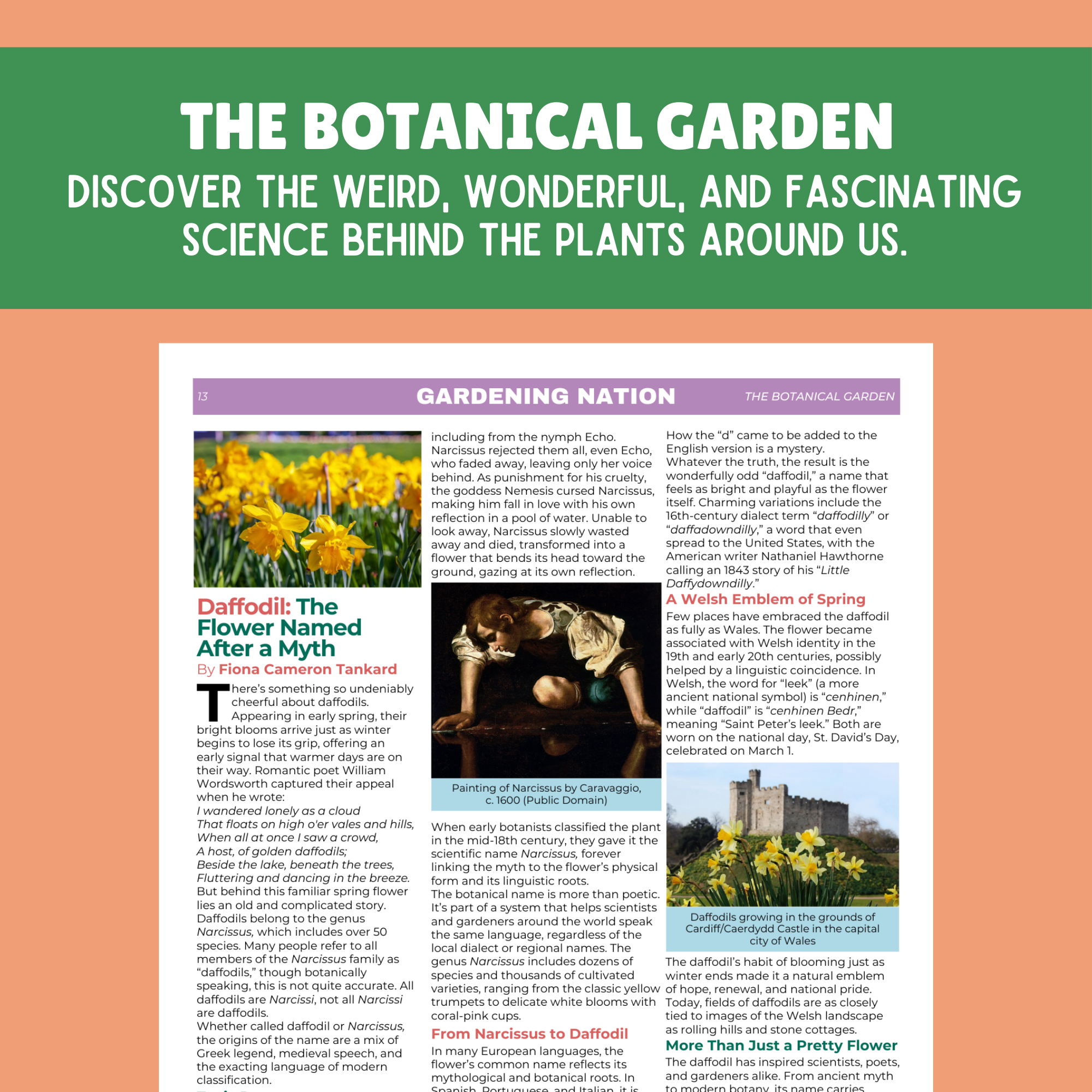 Gardening Nation • 1-Issue-a-Month Subscription