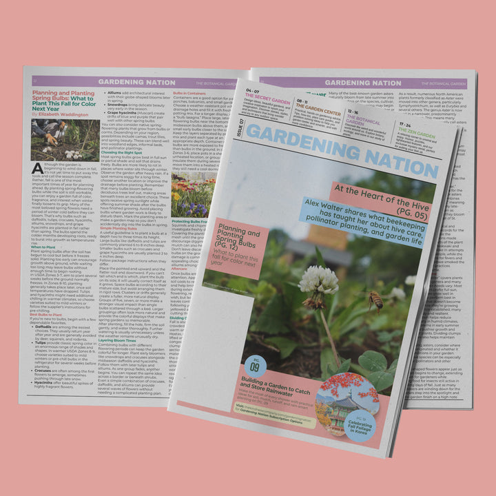 Gardening Nation • Issue 7