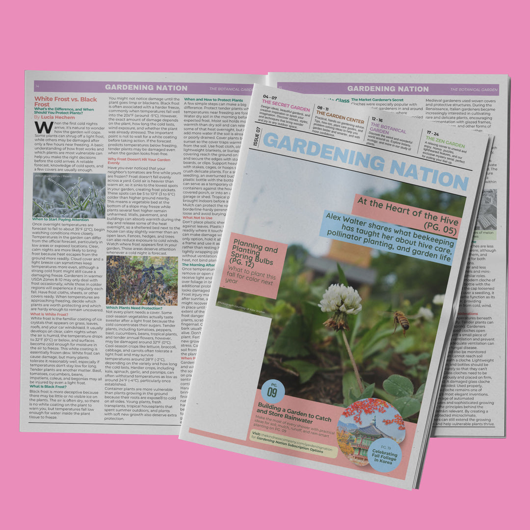 Gardening Nation • Issue 7