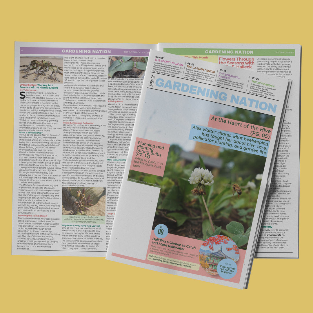 Gardening Nation • Issue 7
