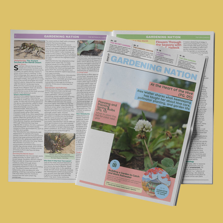 Gardening Nation • Issue 7