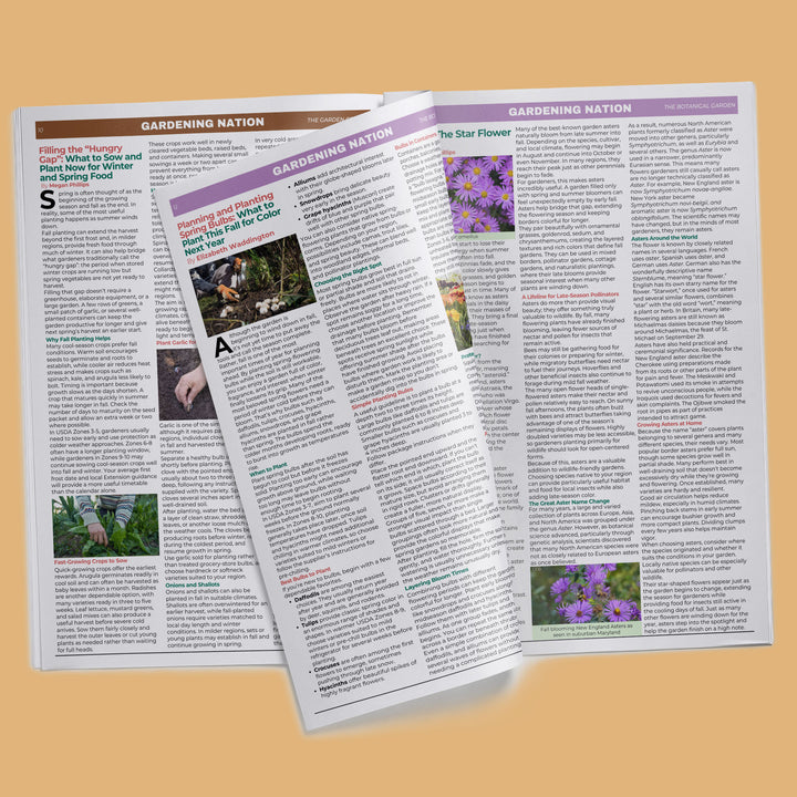Gardening Nation • Issue 7