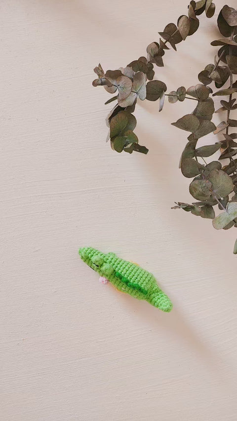 Snappy the Crocodile Crochet Pattern – The Kindness Company
